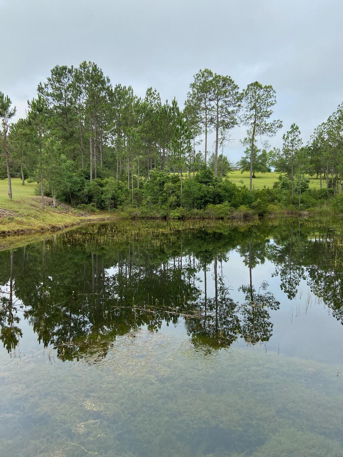 3 Juniper Lake Road DeFuniak Springs, FL 32433 - Photo 1 of 3 Gallery Image 1