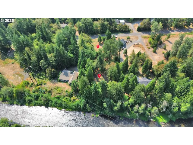 a view of a yard with trees in the background