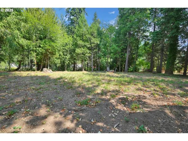 a view of outdoor space with trees