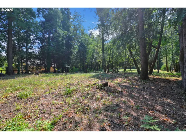 $250,000 | Westfir-oakridge Rd Westfir Or 97492, Westfir, OR 97492