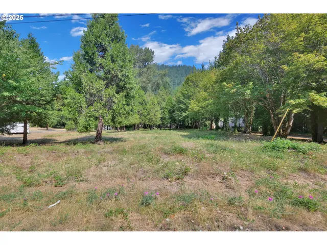 a view of outdoor space with green field and trees