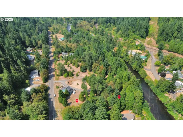 a black and white photo of a garden