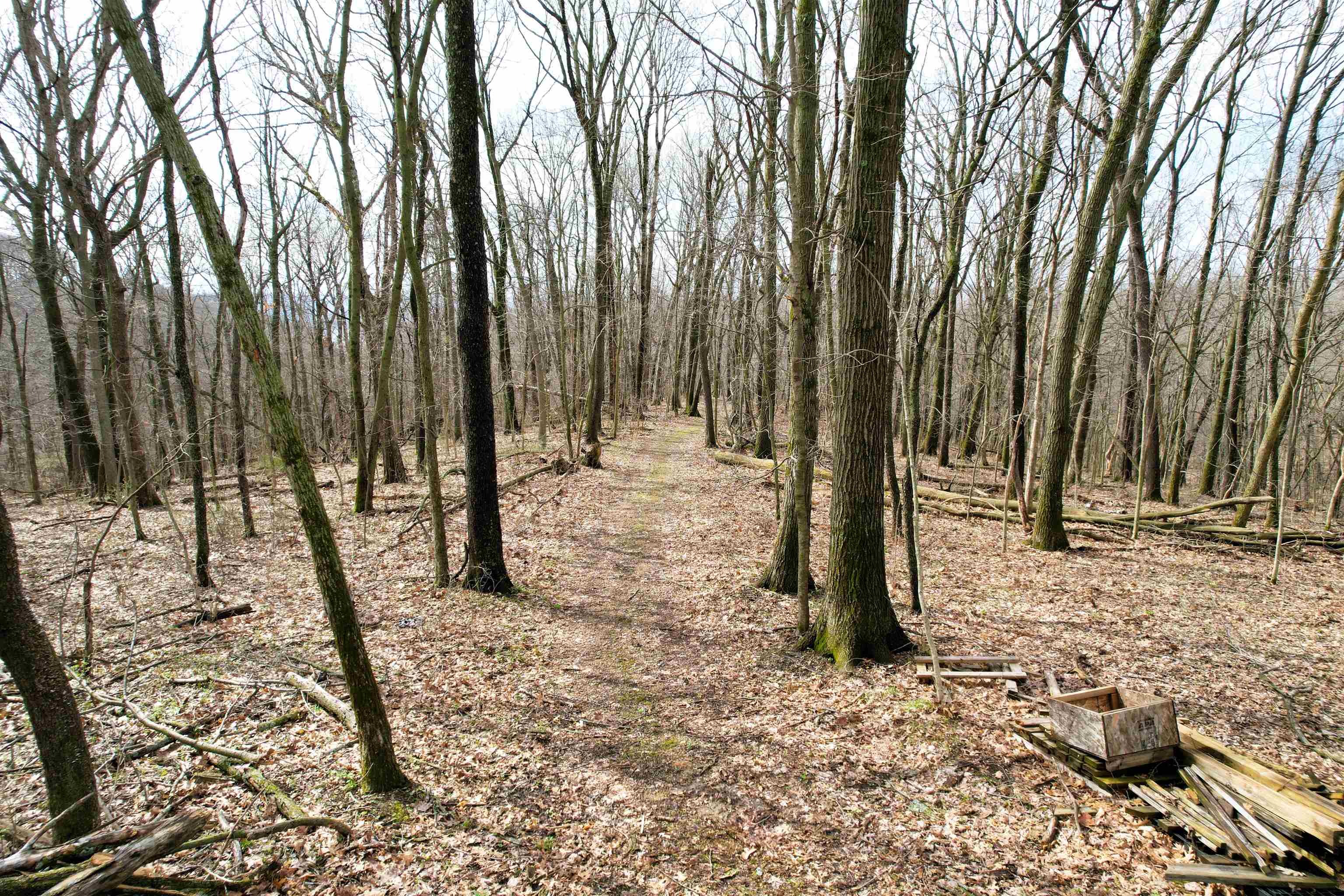 14824 Eagle Ridge Road Ferryville, WI 54628 - Photo 27 of 47