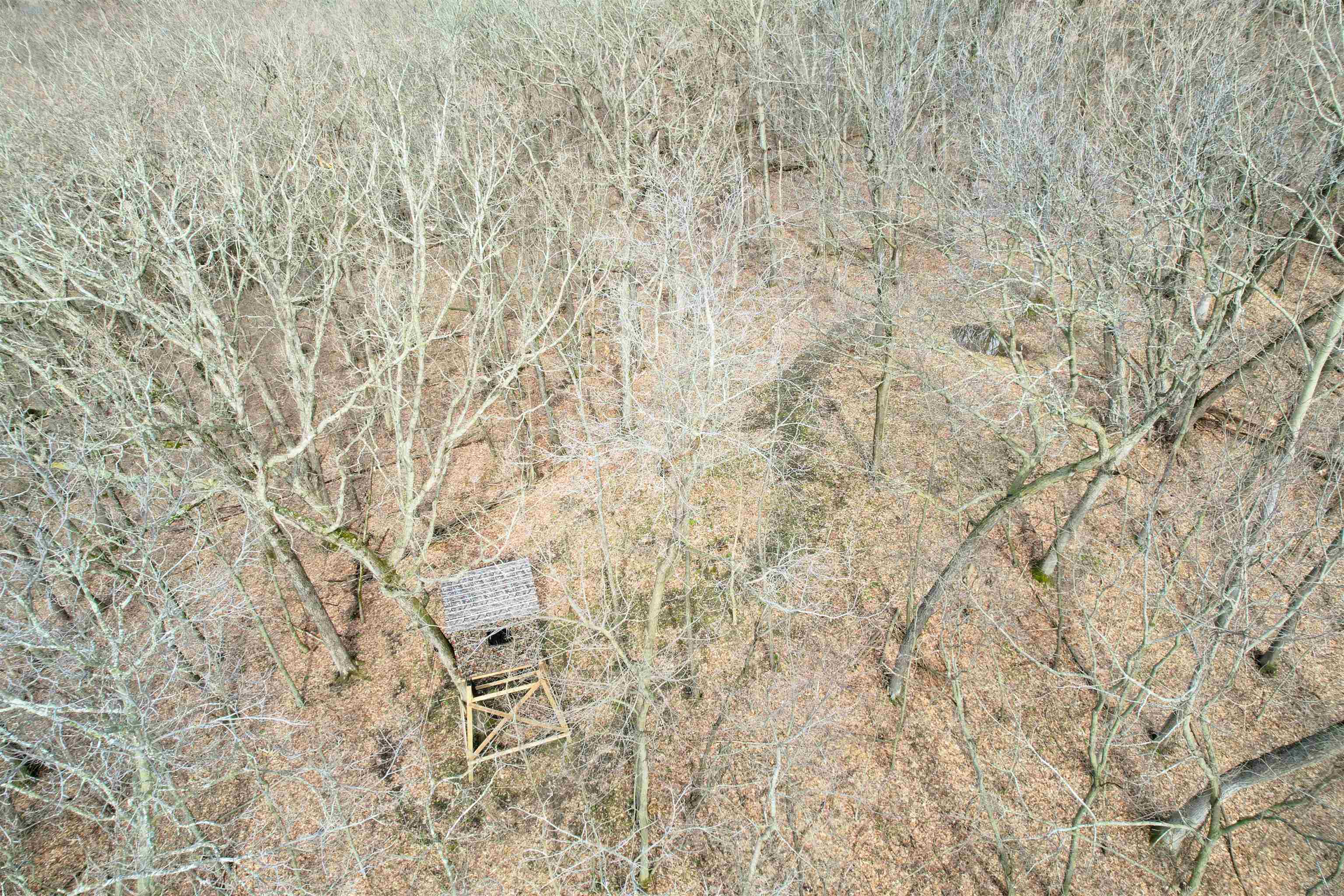 14824 Eagle Ridge Road Ferryville, WI 54628 - Photo 33 of 47