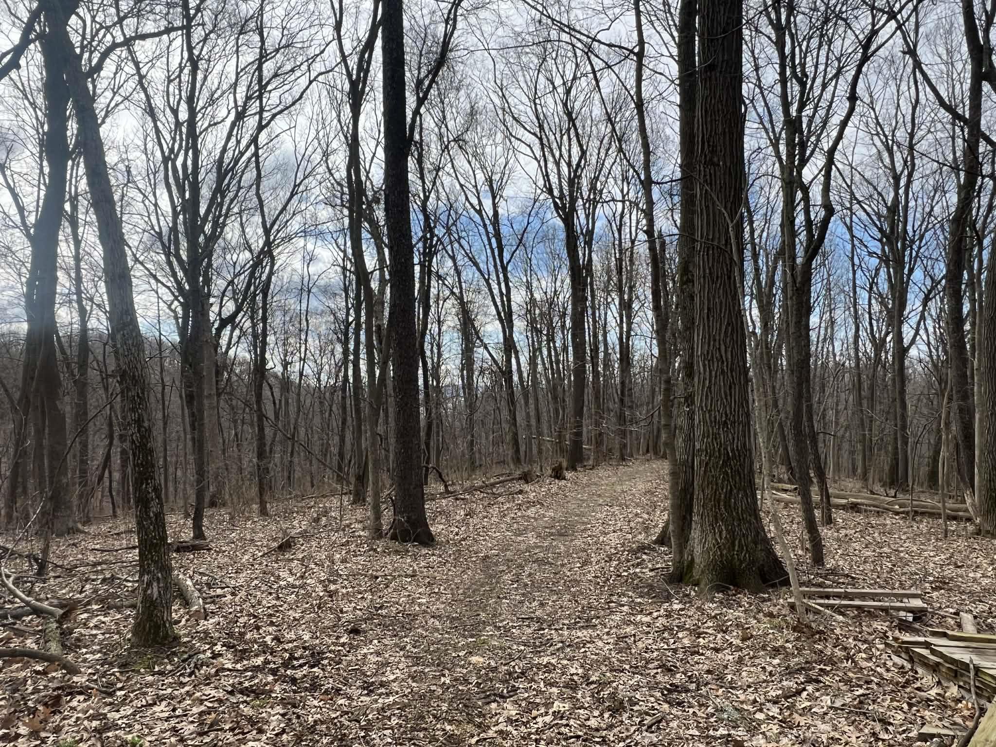 14824 Eagle Ridge Road Ferryville, WI 54628 - Photo 35 of 47