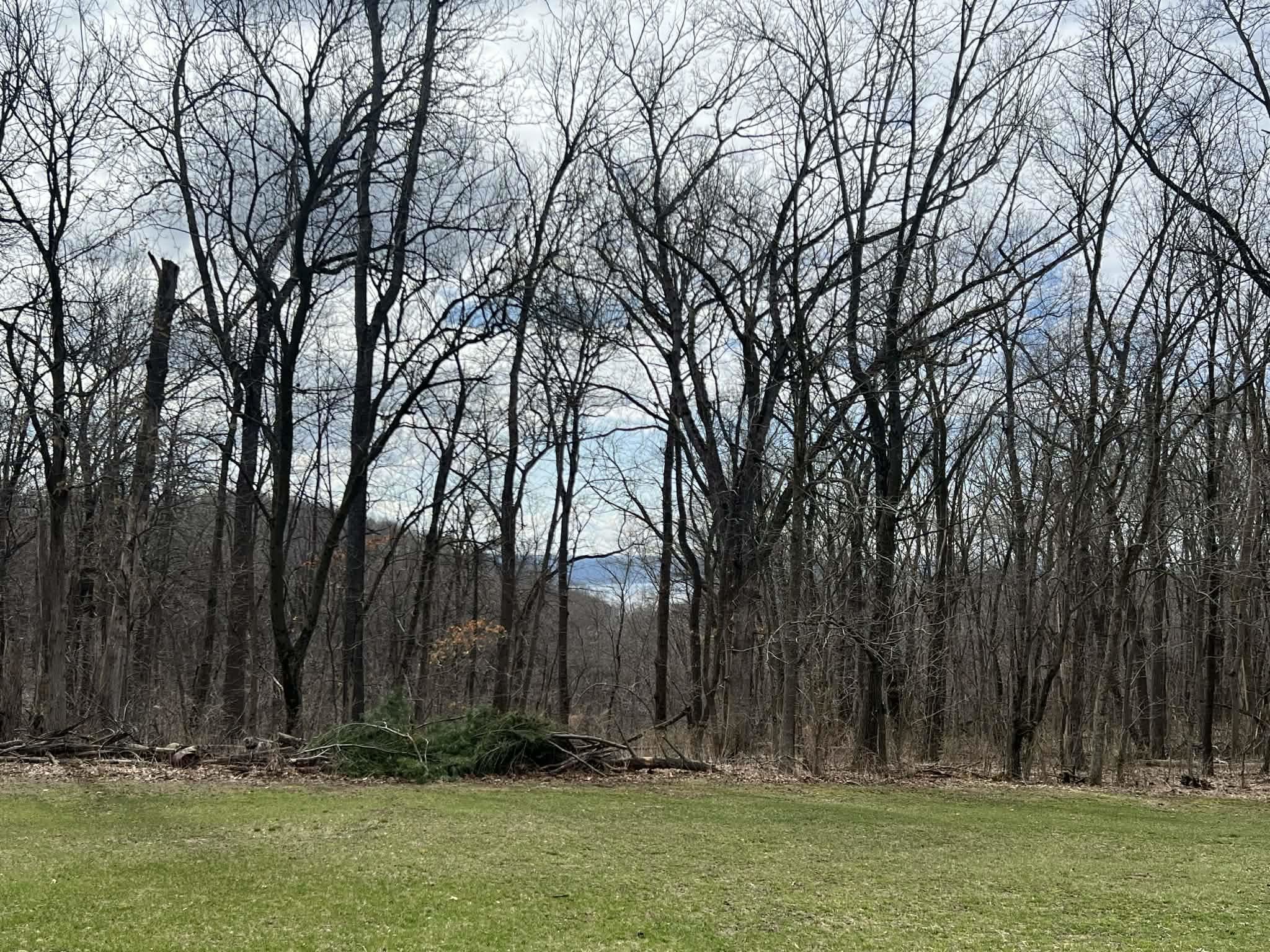 14824 Eagle Ridge Road Ferryville, WI 54628 - Photo 38 of 47