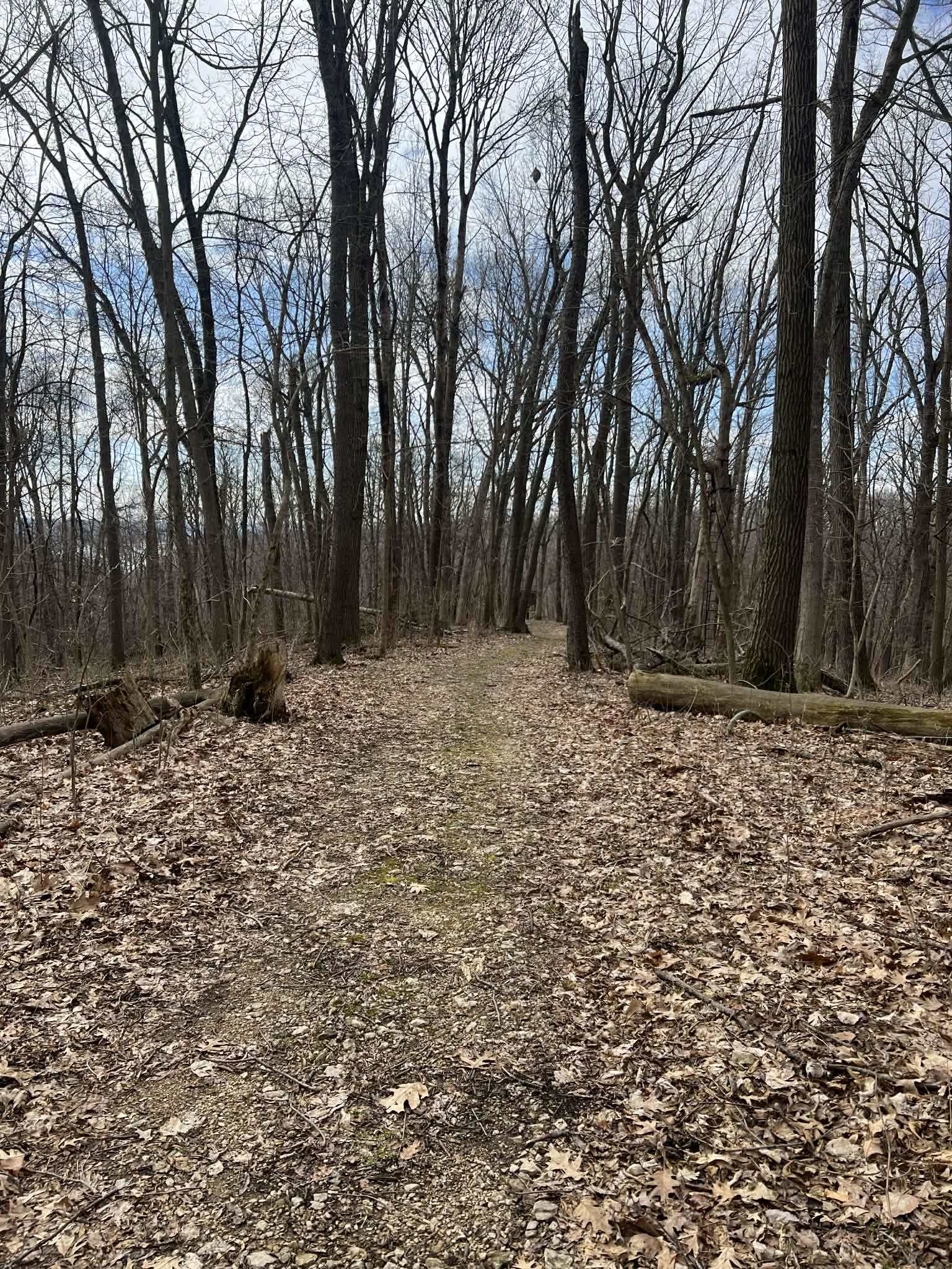 14824 Eagle Ridge Road Ferryville, WI 54628 - Photo 46 of 47