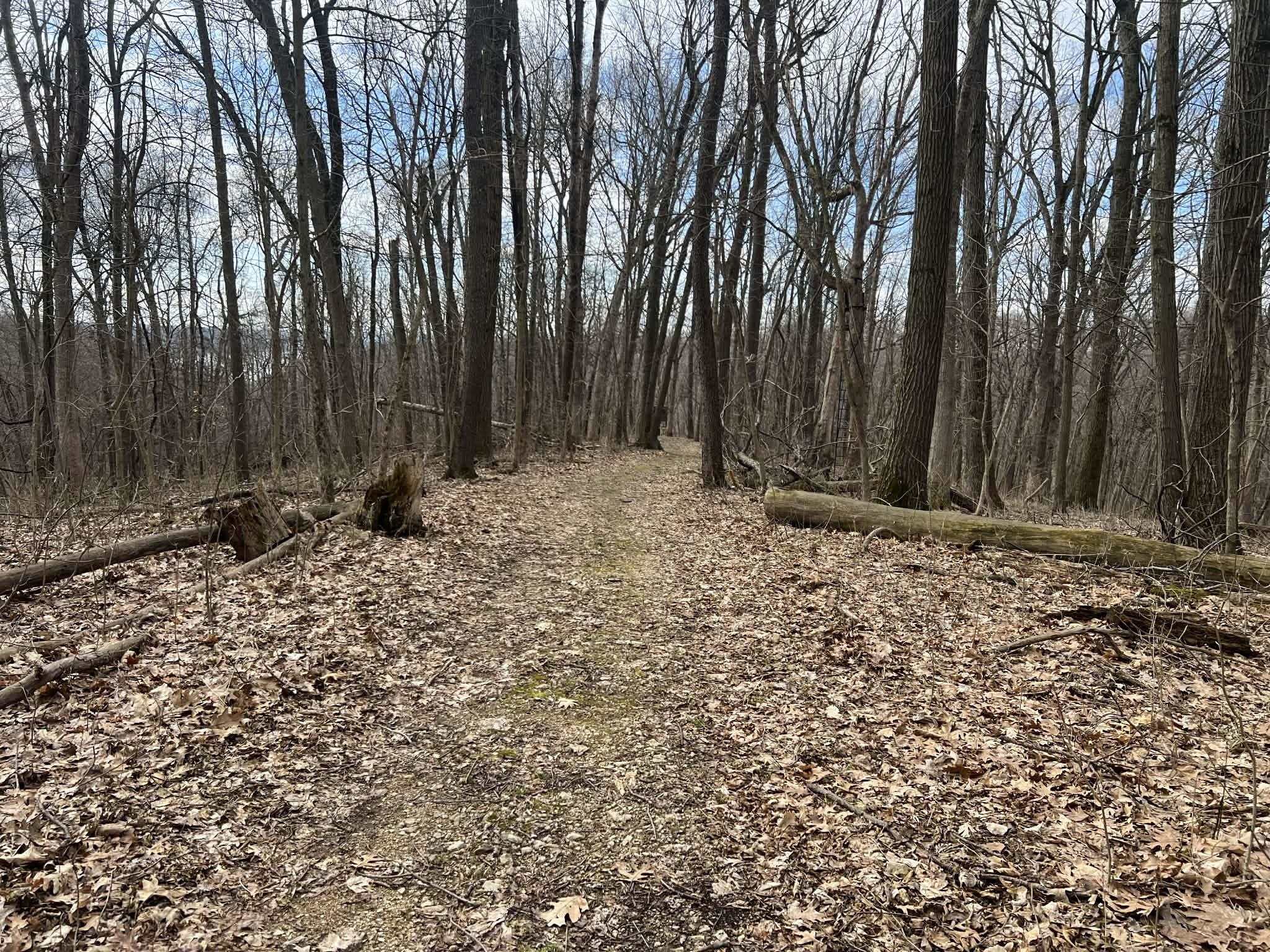 14824 Eagle Ridge Road Ferryville, WI 54628 - Photo 6 of 47