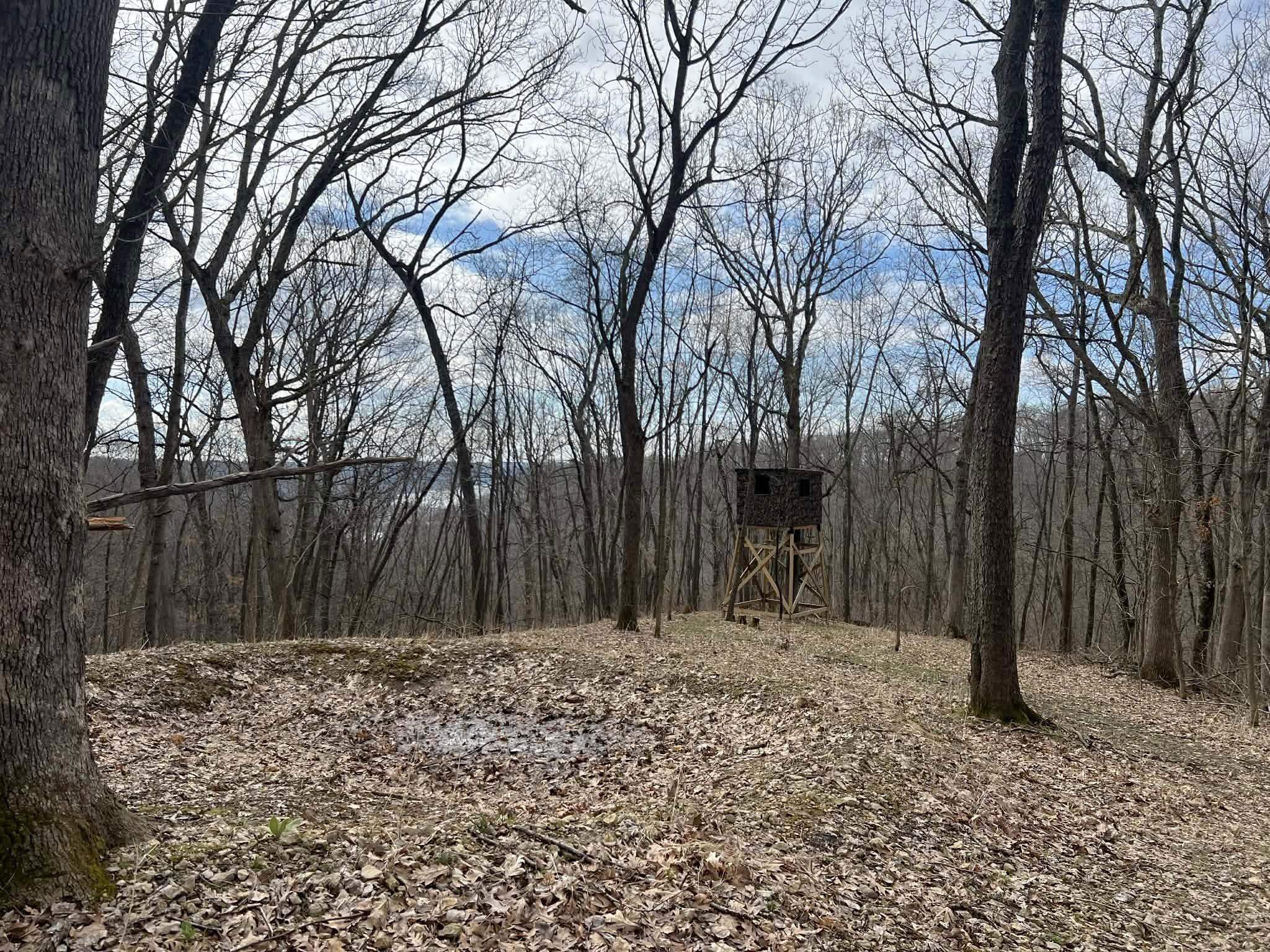 14824 Eagle Ridge Road Ferryville, WI 54628 - Photo 7 of 47