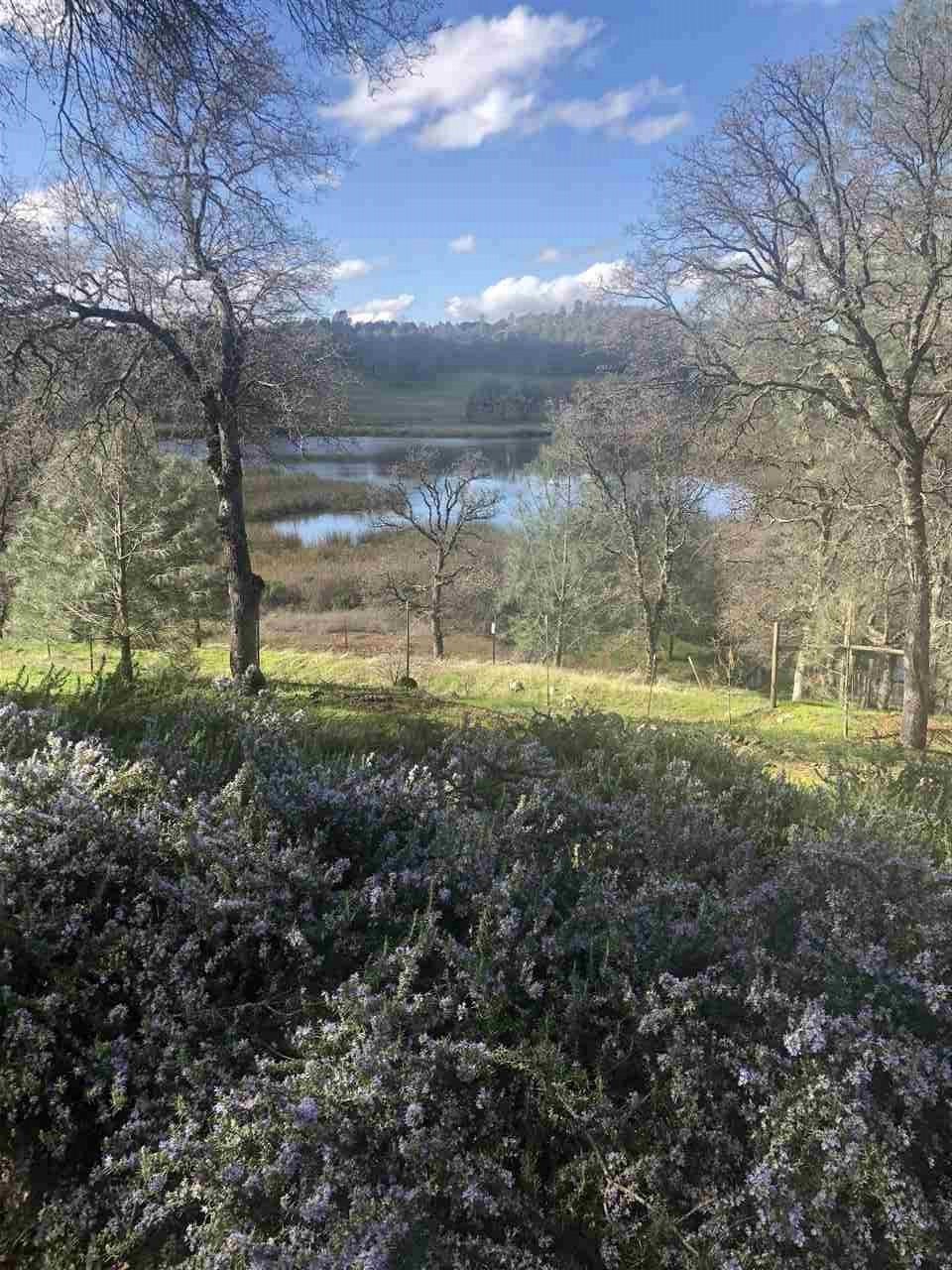 a view of a yard with large trees