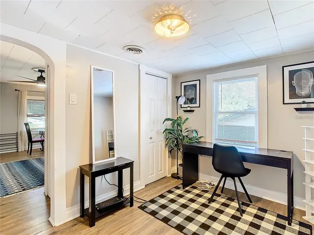 a living room with furniture and a potted plant
