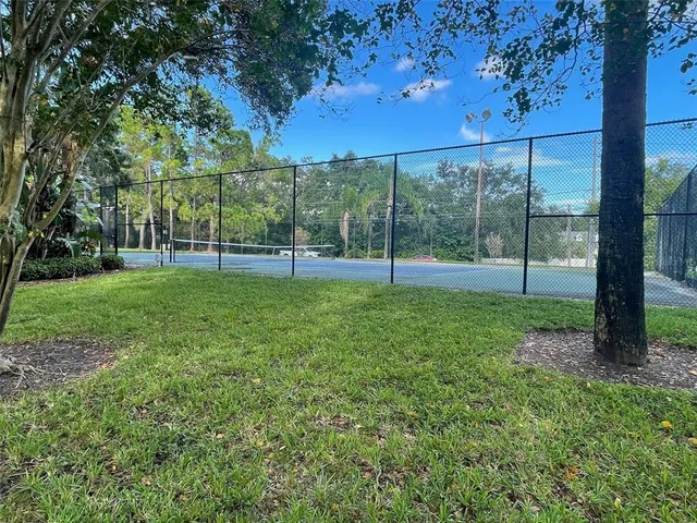 a view of a park with a tree