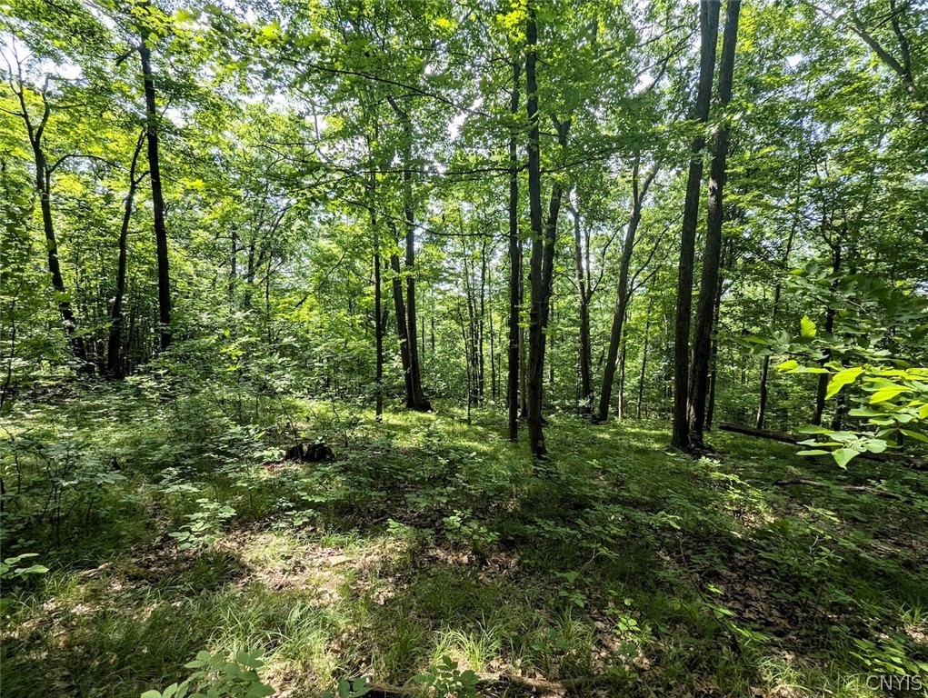 Keifer Hollow Road Dansville, NY 14437 - Photo 25 of 33