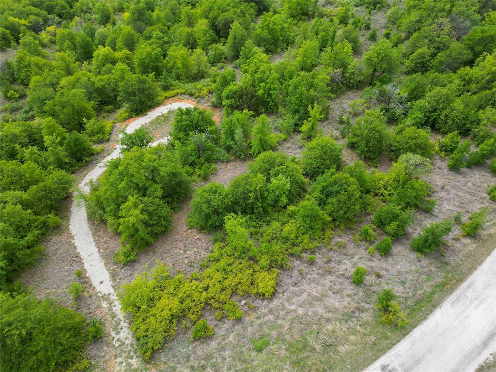 51 D Hensley Road Gordon, TX 76453 - Photo 14 of 29 a view of a garden with plants
