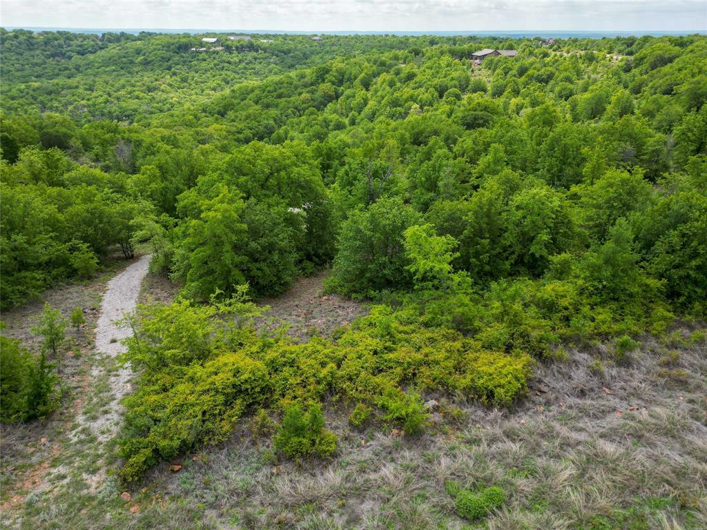 51 D Hensley Road Gordon, TX 76453 - Photo 15 of 29 a view of a forest with a street