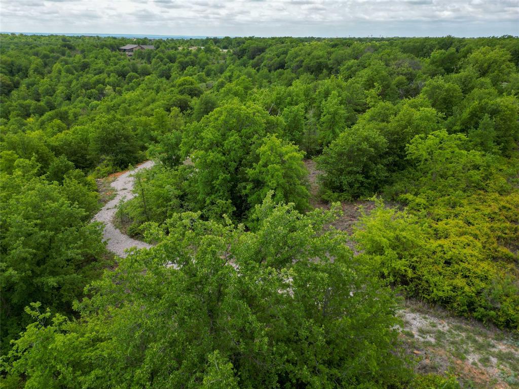 51 D Hensley Road Gordon, TX 76453 - Photo 3 of 29 a view of a lush green forest
