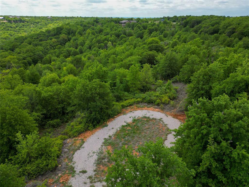 51 D Hensley Road Gordon, TX 76453 - Photo 4 of 29 a view of a lush green forest with lots of trees