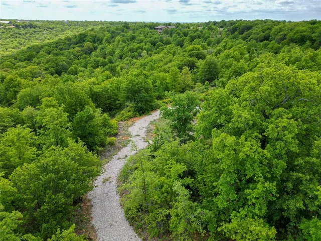 a view of a lush green forest with lots of trees