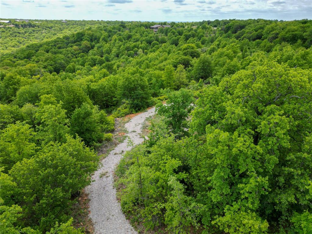 51 D Hensley Road Gordon, TX 76453 - Photo 5 of 29 a view of a lush green forest with lots of trees