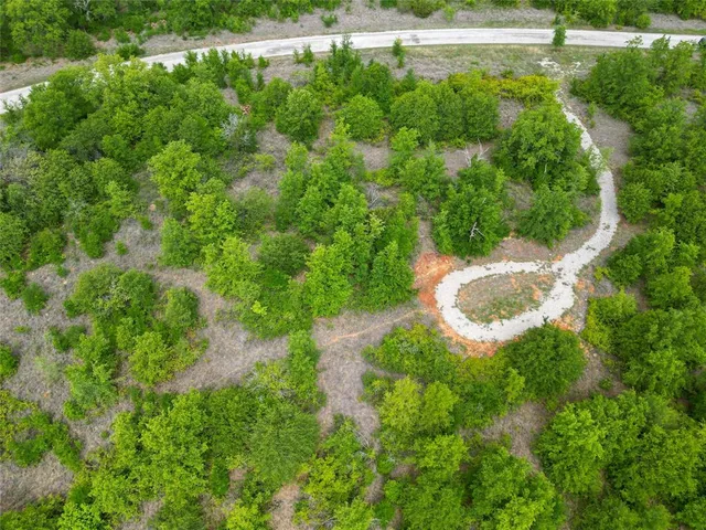 a view of a yard with plants and large trees