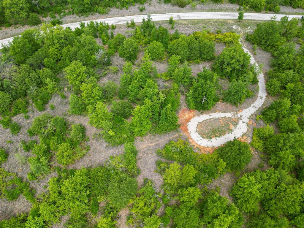 51 D Hensley Road Gordon, TX 76453 - Photo 6 of 29 a view of a yard with plants and large trees
