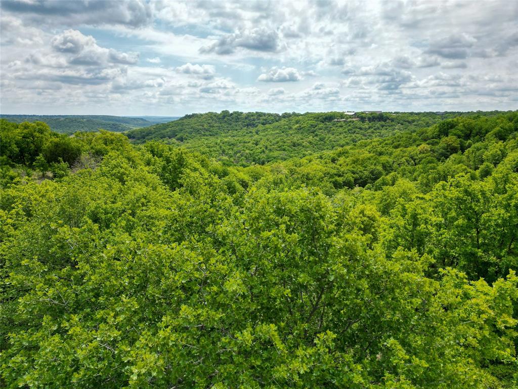 51 D Hensley Road Gordon, TX 76453 - Photo 9 of 29 a view of a field of grass and trees