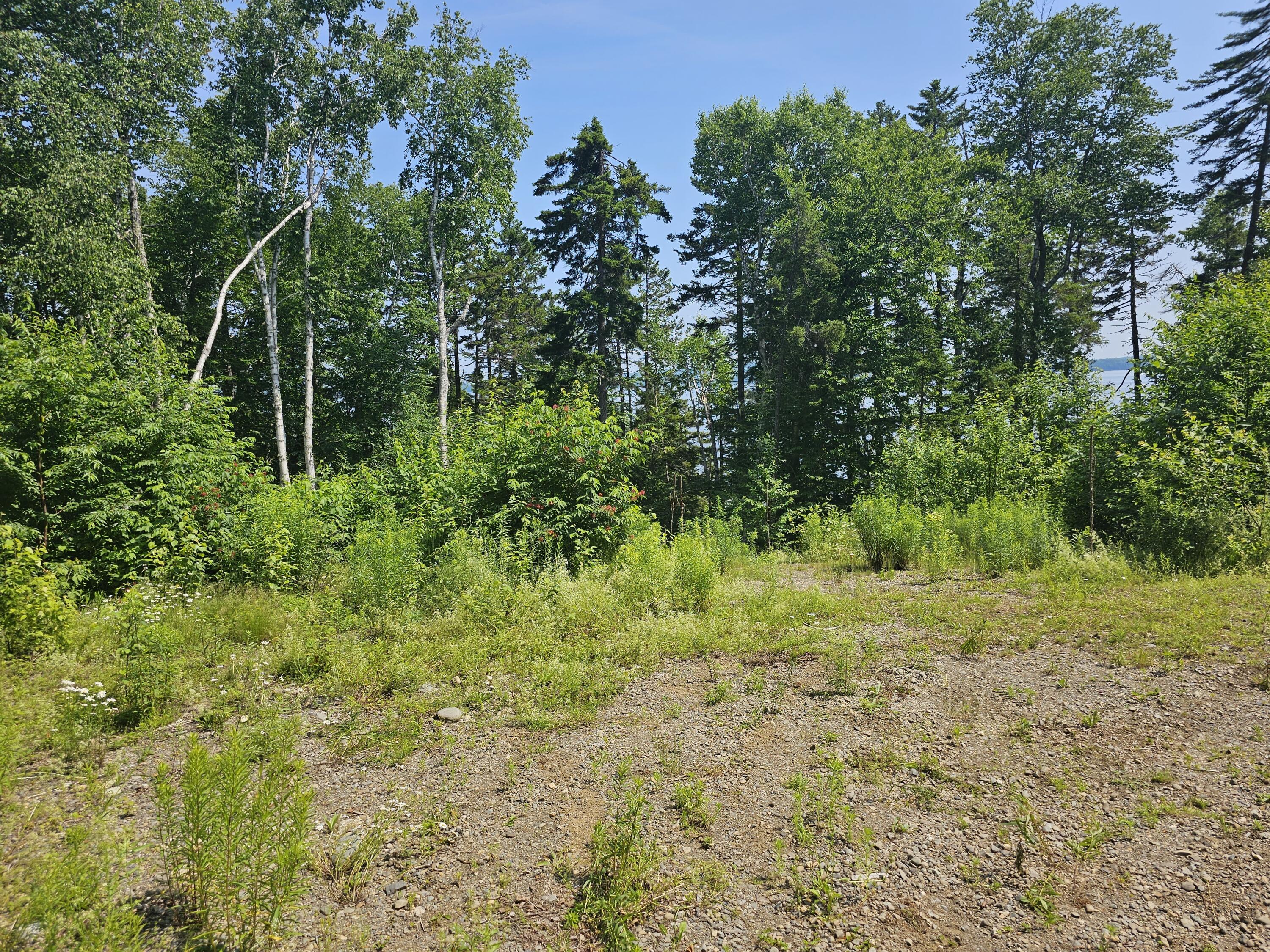 Lot 6 Boulder Road Danforth, ME 04424 - Photo 4 of 12 20230706_105538