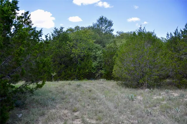 a view of a yard with a tree