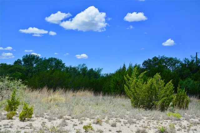 a view of a tree in a yard next to a yard