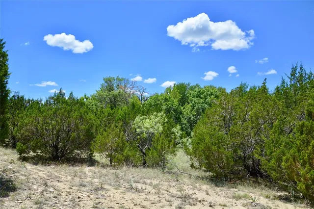 a view of a flower in a yard