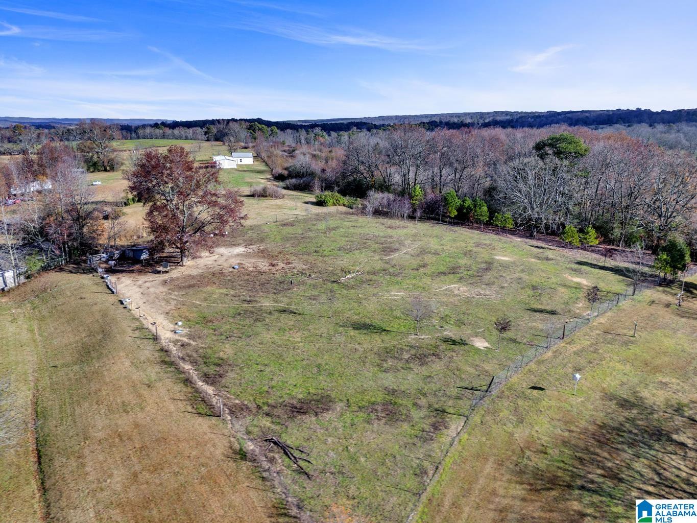 518 Reneau Road Oneonta, AL 35121 - Photo 18 of 23