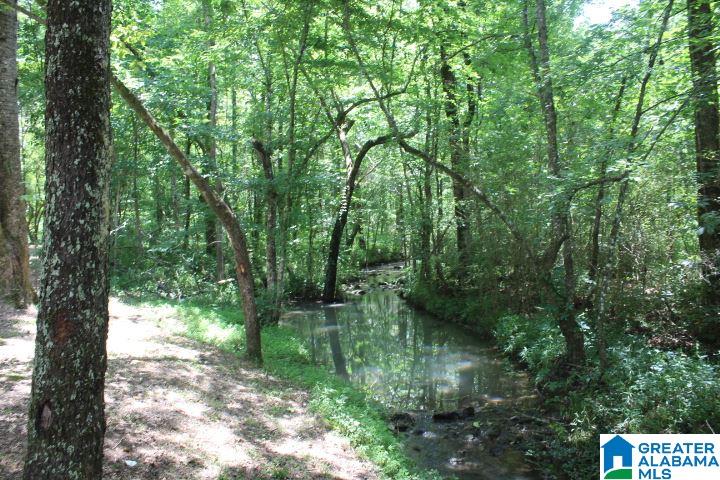 1640 Highway 77 Gadsden, AL 35907 - Photo 23 of 23