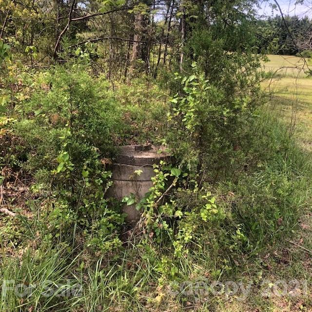 0 Carpenter Road, Unit 1 Rutherfordton, NC 28139 - Photo 3 of 13