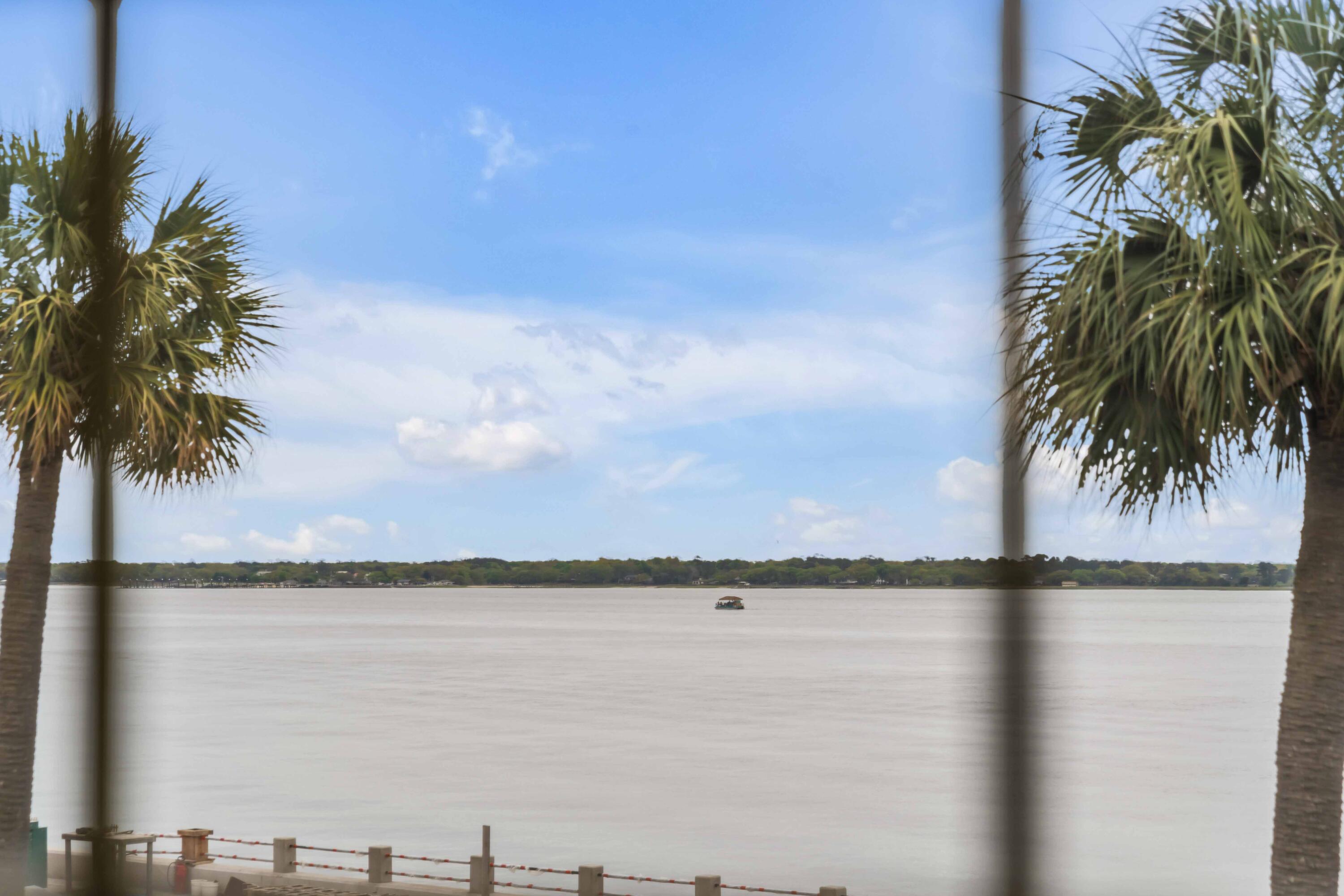 20 Murray Boulevard Charleston, SC 29401 - Photo 21 of 42 Views from Sunroom