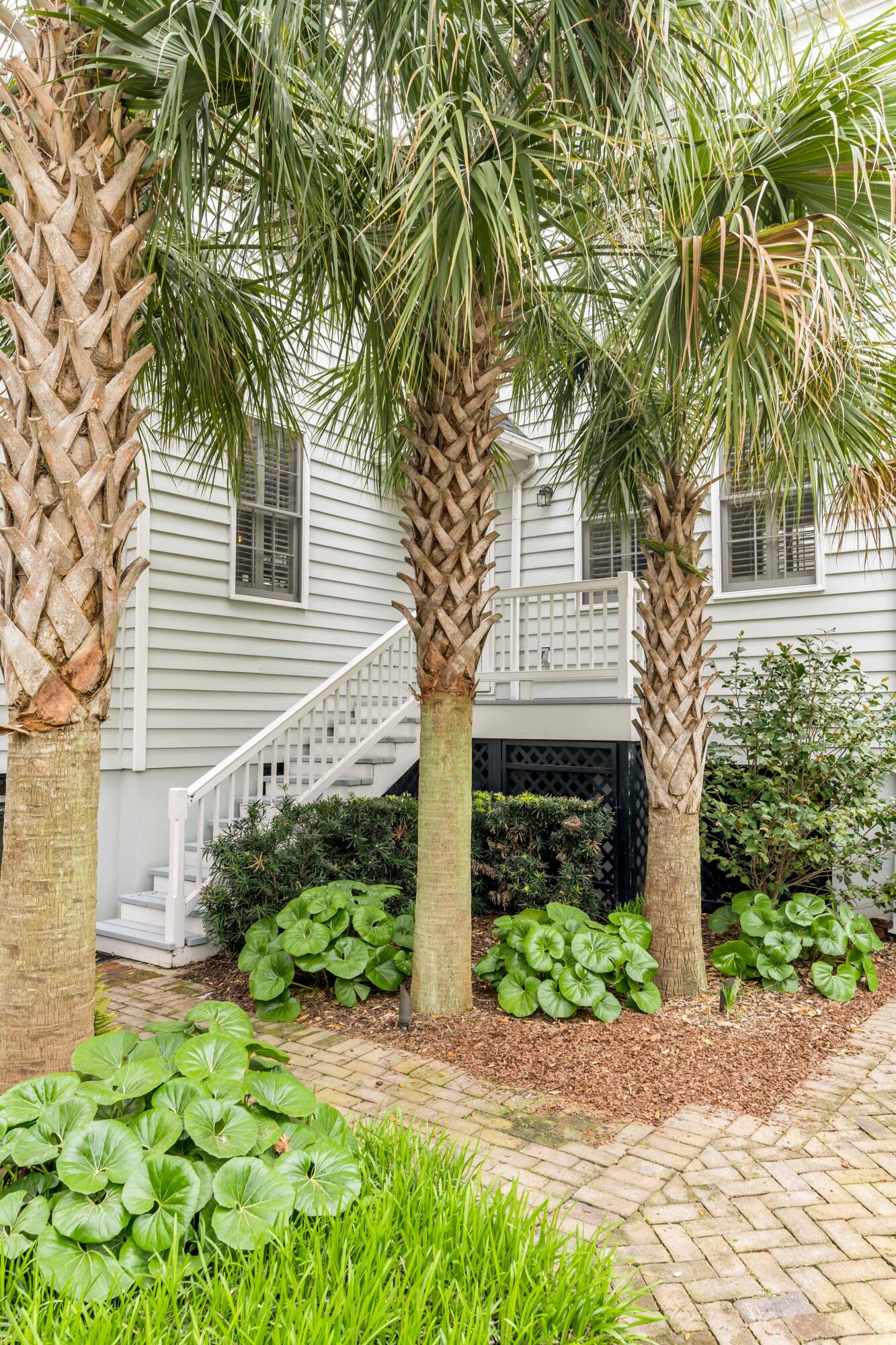 20 Murray Boulevard Charleston, SC 29401 - Photo 31 of 42 Backyard