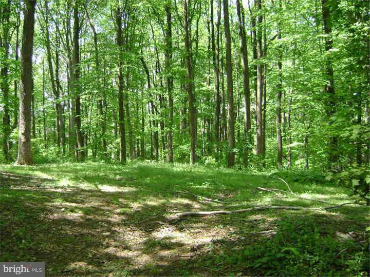 1709 Flint Hill Road Landenberg, PA 19350 - Photo 14 of 25 View