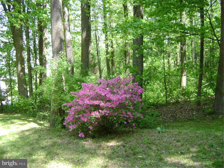 1709 Flint Hill Road Landenberg, PA 19350 - Photo 15 of 25 View from Front Door