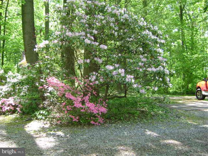 1709 Flint Hill Road Landenberg, PA 19350 - Photo 22 of 25 Driveway