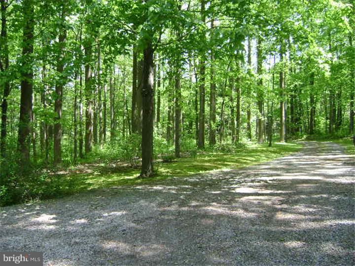 1709 Flint Hill Road Landenberg, PA 19350 - Photo 24 of 25 Driveway