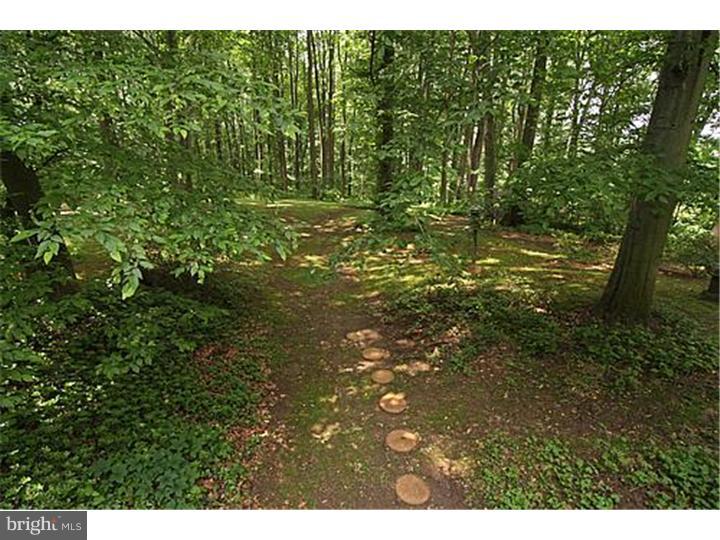 1709 Flint Hill Road Landenberg, PA 19350 - Photo 25 of 25 View in Back