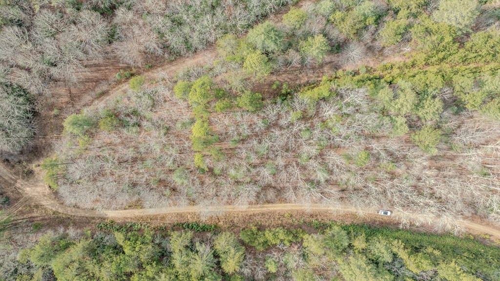 1.03 Deep Frst Road Murphy, NC 28906 - Photo 22 of 28
