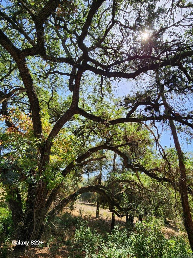 14053 McNally Road Valley Center, CA 92082 - Photo 24 of 51