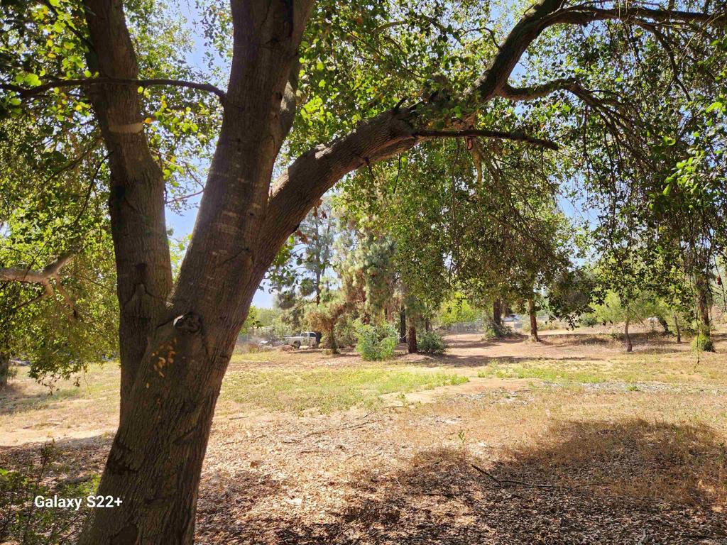 14053 McNally Road Valley Center, CA 92082 - Photo 31 of 51