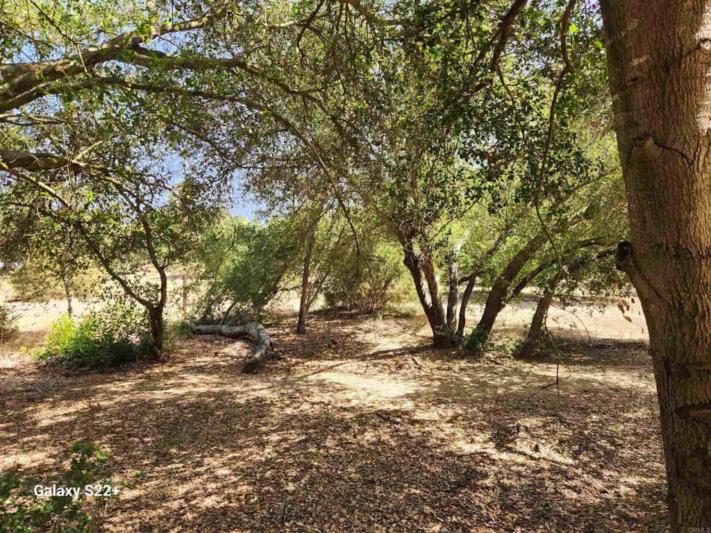 14053 McNally Road Valley Center, CA 92082 - Photo 32 of 51