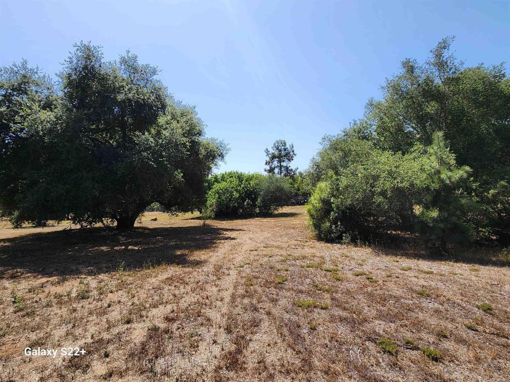 14053 McNally Road Valley Center, CA 92082 - Photo 33 of 51