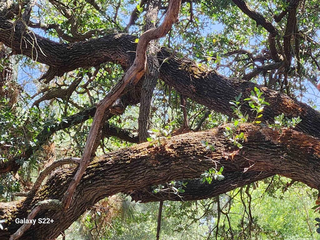 14053 McNally Road Valley Center, CA 92082 - Photo 34 of 51