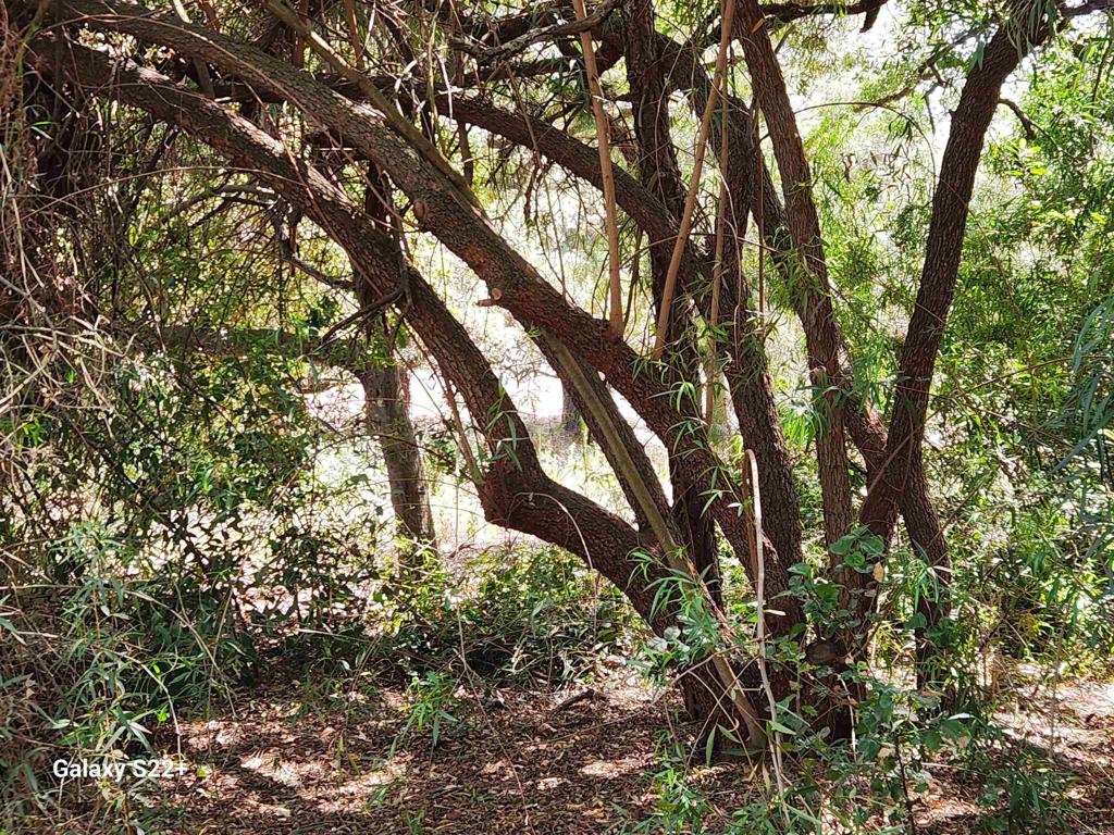 14053 McNally Road Valley Center, CA 92082 - Photo 35 of 51