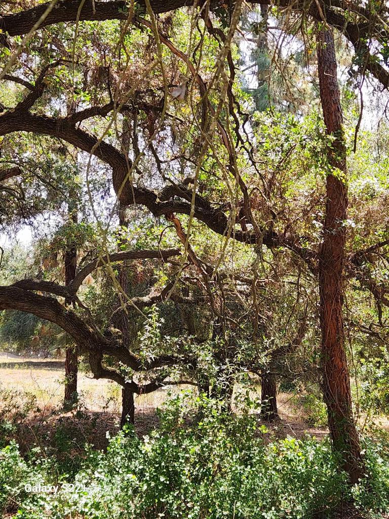 14053 McNally Road Valley Center, CA 92082 - Photo 36 of 51