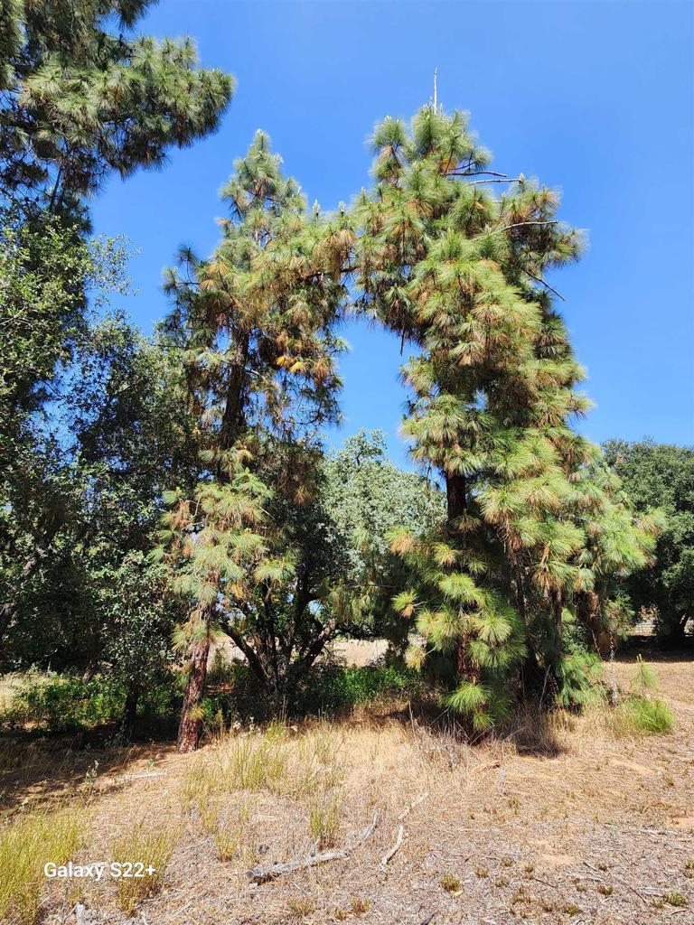 14053 McNally Road Valley Center, CA 92082 - Photo 37 of 51