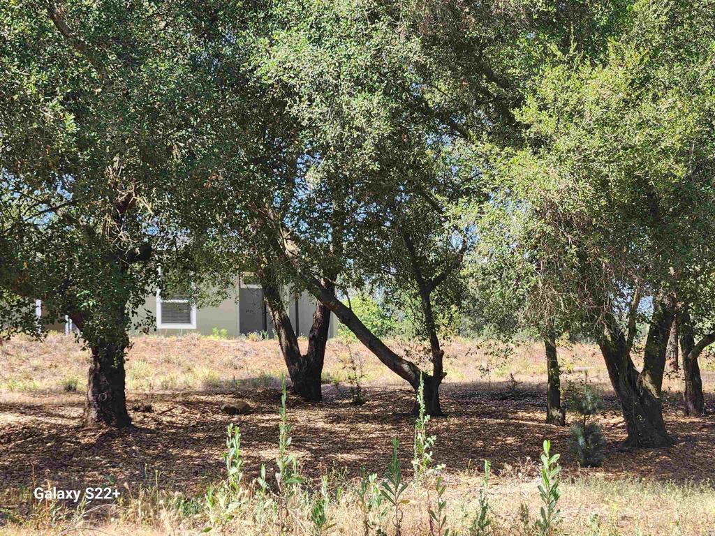 14053 McNally Road Valley Center, CA 92082 - Photo 39 of 51